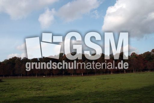 B-Herbststimmung 096.jpg